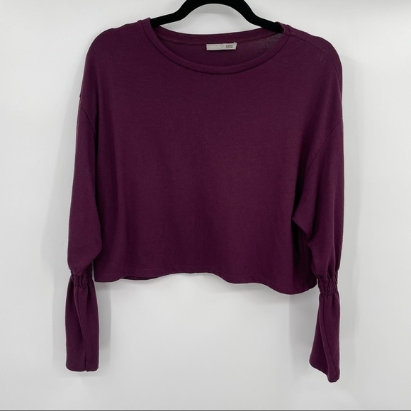 Zara Sweaters - Zara Purple Knit Cropped Sweater